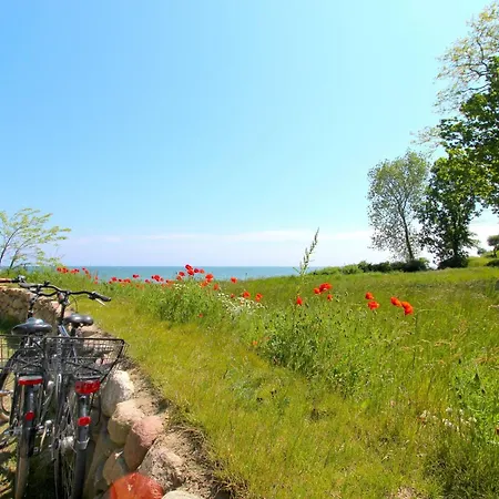 Apartment Rex Rugia Fewo12-2 Strandnah,terrasse,sauna,pool