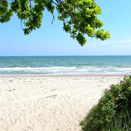 Rex Rugia Fewo12-2 Strandnah,terrasse,sauna,pool Lobbe